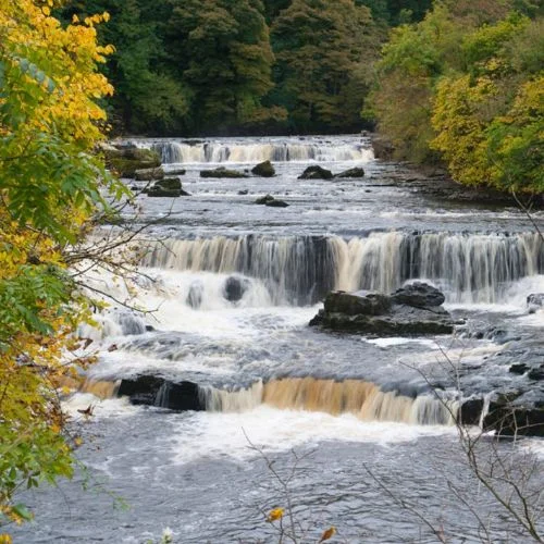 Aysgarth Falls